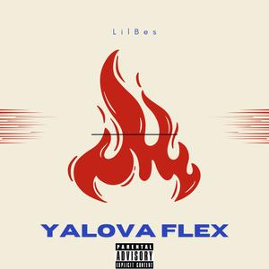 Yalova Flex (Explicit)