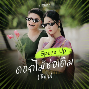 ดอกไม้ช่อเดิม (Tulip) (Speed Up)