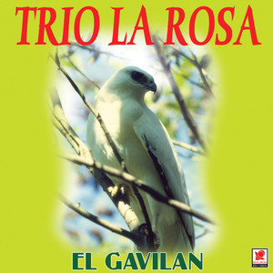 El Gavilan