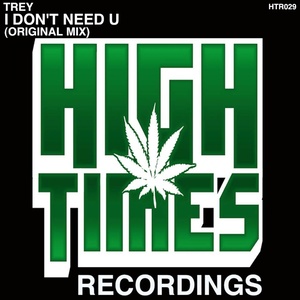 I Don't Need You (Original Mix)