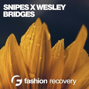 Bridges (Martin Landers Remix)