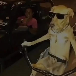 Sweet lady (feat. Frlwick & HawkEm) (Explicit)