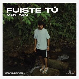 Fuiste Tú