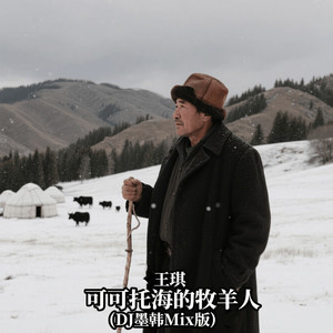 可可托海的牧羊人 (DJ墨韩Mix版)封面