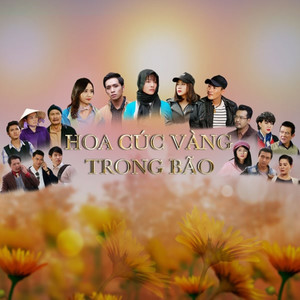 Hoa Cúc Vàng Trong Bão