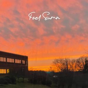 Feel Sumn (feat. CookieDow)