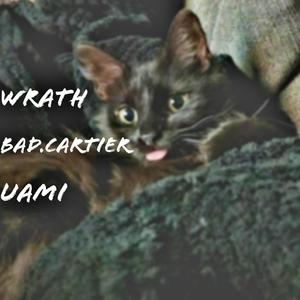 Dime qué paso? (feat. Bad.Cartier & Wrath) (Explicit)