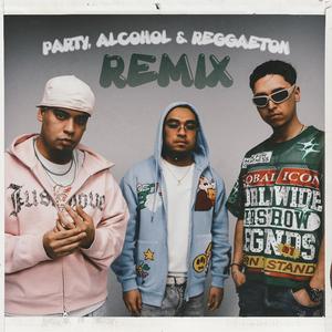 PARTY ALCOHOL & REGGAETON (Remix)