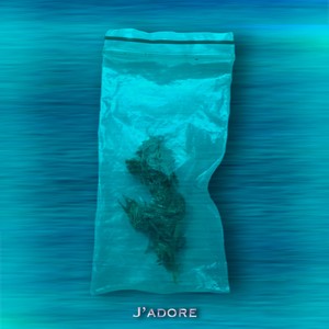 J'adore (Explicit)