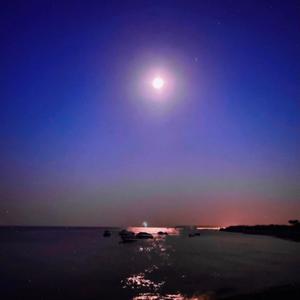 Gloomrise(feat. mia mathilda & Eliana Hebborn)