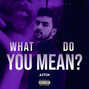 What do you mean (Explicit)