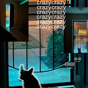 crazy (feat. faun & riot) (Explicit)