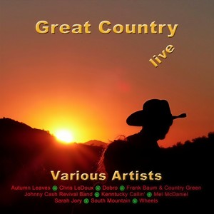 Take Me Home Country Roads (Live)