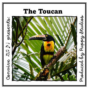 The Toucan