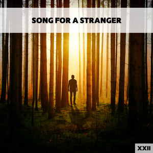 Song For A Stranger XXII