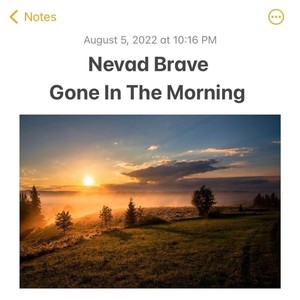 Gone In The Morning (Explicit)