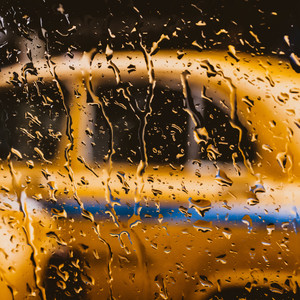 Inside the Greenhouse