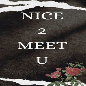 Nice 2 Meet U (Explicit)