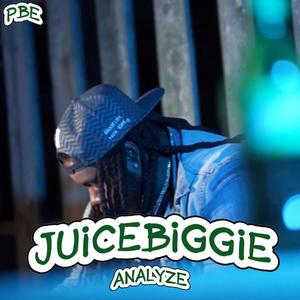 Analyze (Explicit)