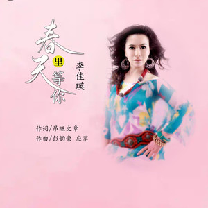 春天里等你 (伴奏)