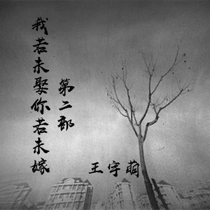 我若未娶你若未嫁(第二部)