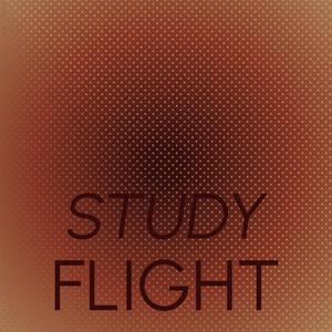 Study Flight