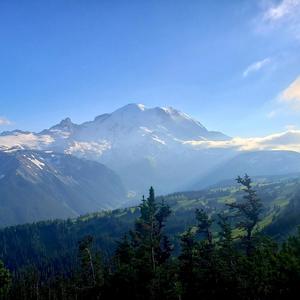 going up, coming down