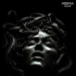 MEDUSA (Explicit)