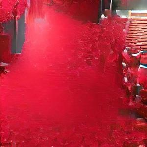 runtz.wav (feat. tomversatti, Sogreenk & payedmytaxes) (Explicit)