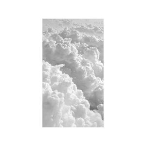 Rohaan Bleu - JASMINS JOINT II