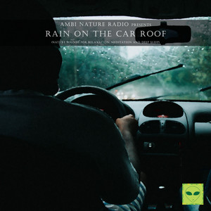 Ambi Nature Radio Pres. Rain on the Car Roof (Nature Sounds for Relaxation, Meditation and Deep Sleep)