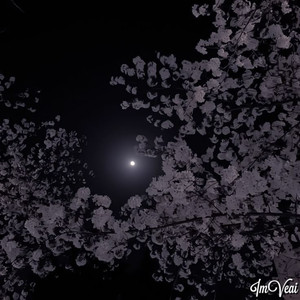 od paru lat (Explicit)