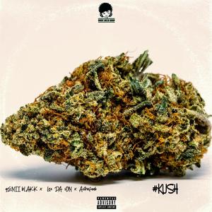 KUSH (feat. Leo Da Son & Astrafunk) [Explicit]