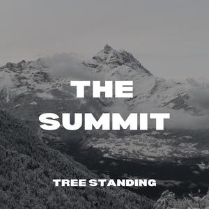 The Summit (Explicit)