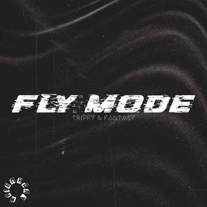 FLY MODE (Explicit)