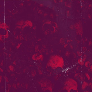 Kwik E Mart (Explicit)