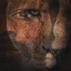 Need Love (feat. Porsh) (Explicit)