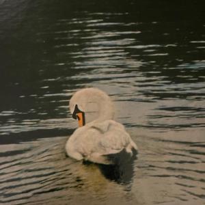 War Machine (Bankai) (Explicit)