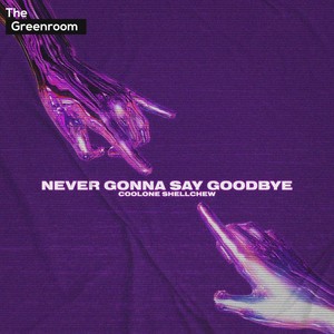 Never Gonna Say Goodbye