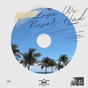 LOVE WE NEVER HAD