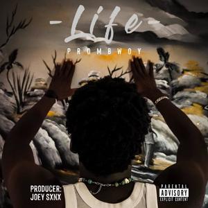 LIFE (Explicit)