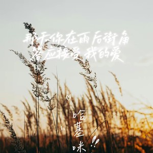 那天你在雨后街角答应接受我的爱