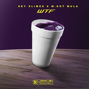 WTF (feat. M.dot Mula) [Explicit]