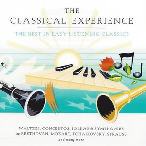 Horn Concerto (No. 3 in E Flat - Allegro)