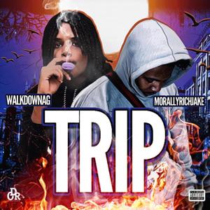 Trip (Explicit)