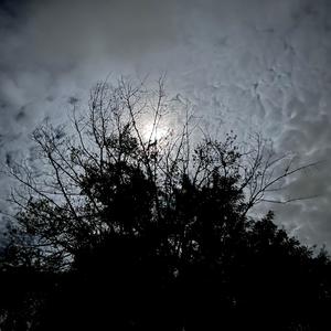 insane (feat. Juke!) (Explicit)