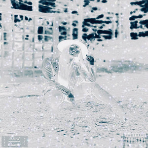 Mayweather Cake (Explicit)