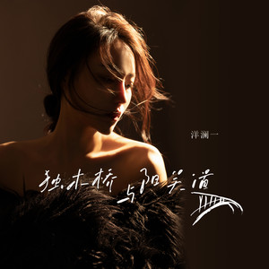 独木桥与阳关道 - 洋澜一封面