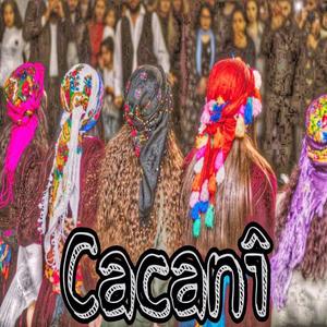 Kurdish halay_cacani (Explicit)