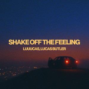 Shake Off The Feeling
